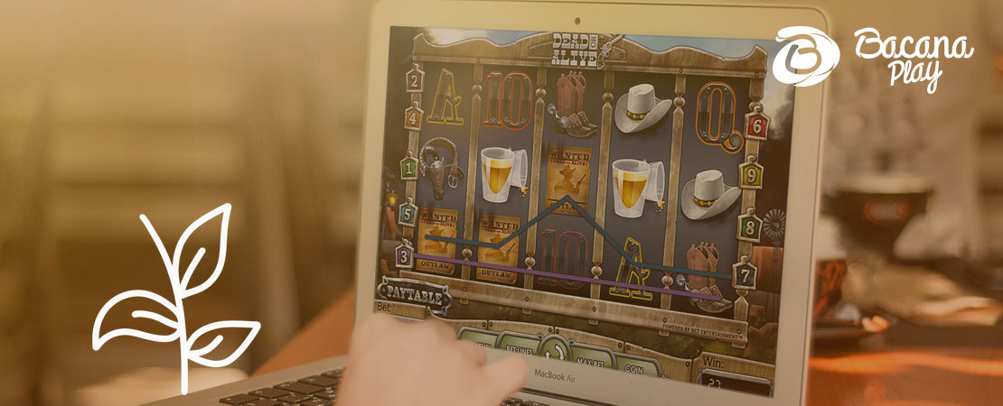 Dead Or Alive Slot Base Game