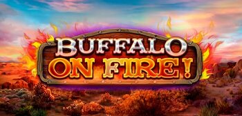 Buffalo on Fire