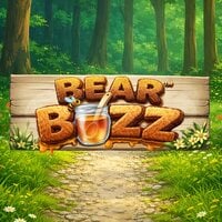 Bear Buzz
