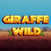 Giraffe Wild
