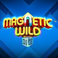 Magnetic Wild Dice