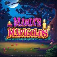 Maria's Marigolds