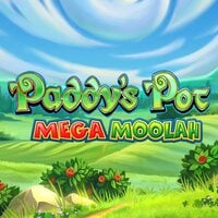 Paddy's Pot Mega Moolah Mobile