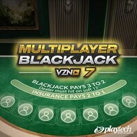 VZN Blackjack 7