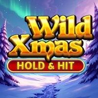 Wild Xmas -  Hold & Hit