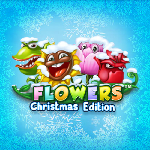 Flowers Christmas Edition
