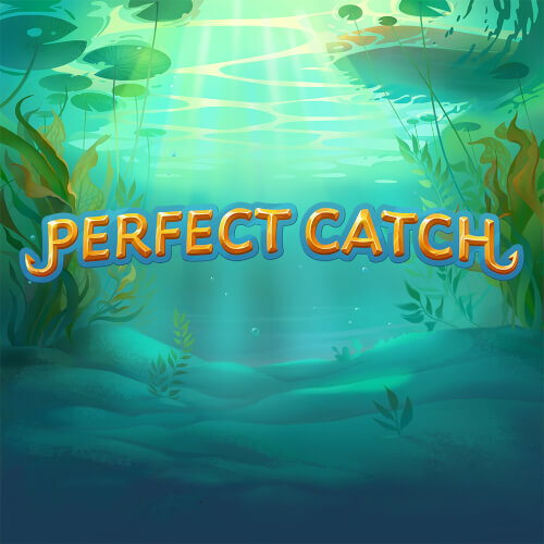 Perfect Catch