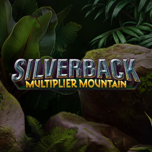 Silverback Multiplier Mountain