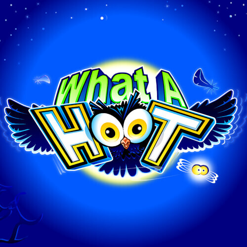 What A Hoot miniatyrbild av kasinospel från MicroGaming