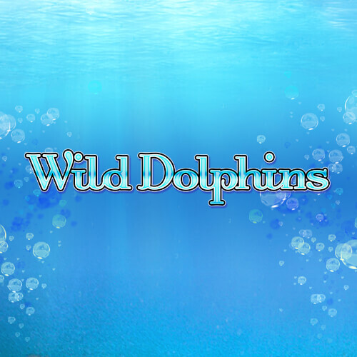 Wild Dolphins Mobile