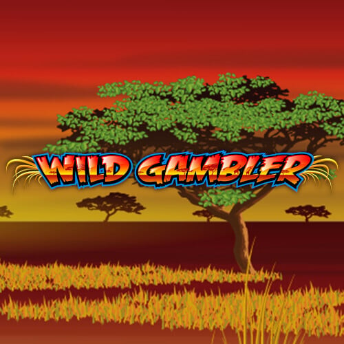 Wild Gambler