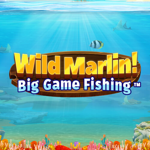 Wild Marlin! - Big Game Fishing Mobile