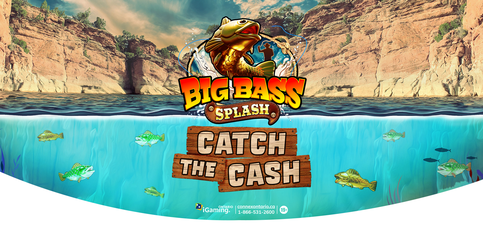 Play for £12,000 in prizes to celebrate our birthday