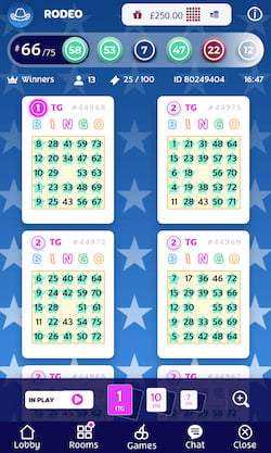 How To Play Bingo: The complete guide | PlayOJO Bingo