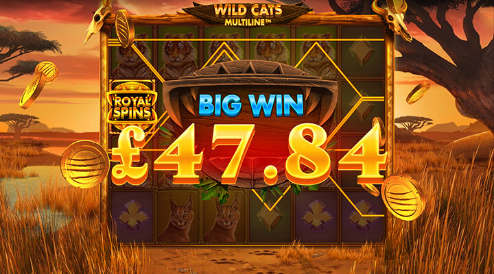 Wild Cat Multilines Slot Screenshot