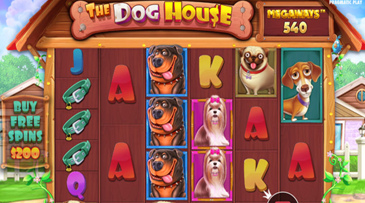 The Dog House Megaways Slot Screenshot
