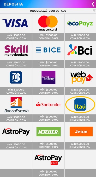 Paso 2: Selecciona Itau