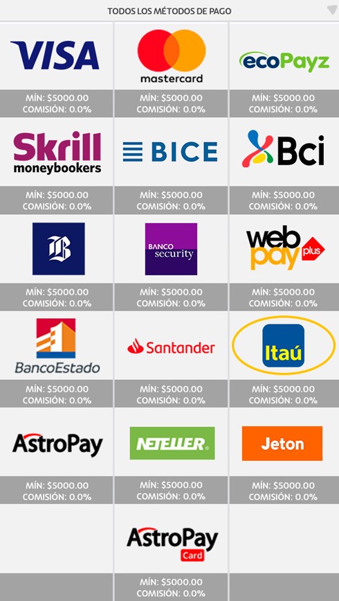 Paso 2: Selecciona Itau