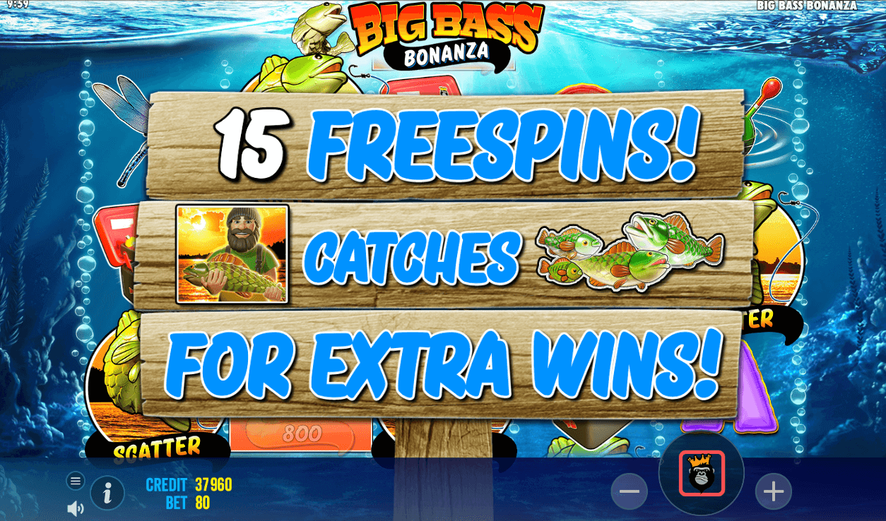 BBB FREE SPINS 1