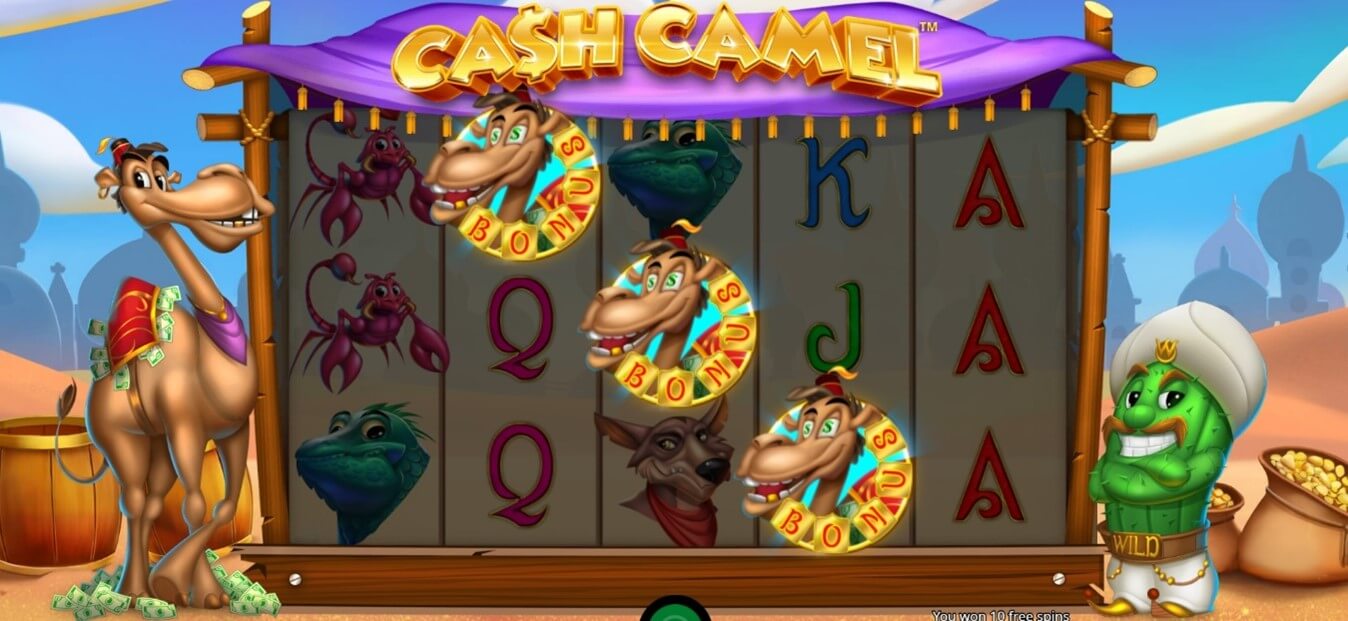 Bonus de la Slots Cash Camel