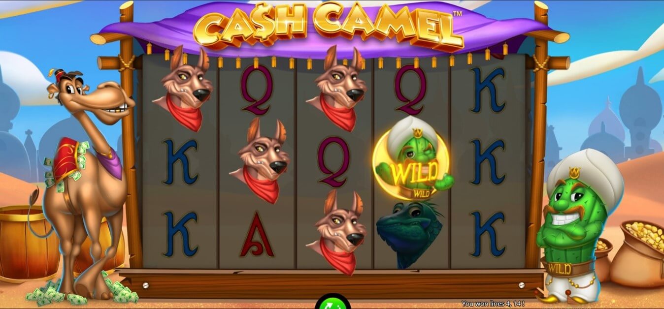 Wild de la Slots Cash Camel
