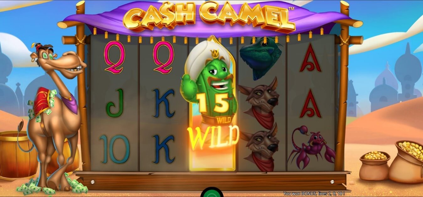 Wild Wally de la Slots Cash Camel