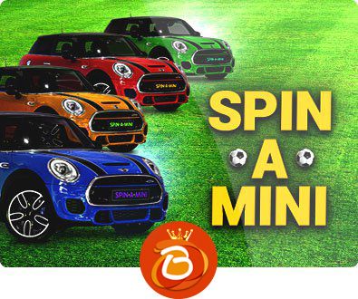 Spin A Mini